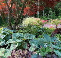 Gardens of Portsmouth Walking Tour - Accommodation Texas