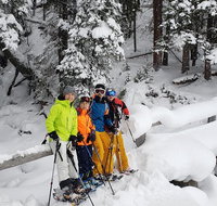 Snowshoe or XC Ski in North Yellowstone Half Day - Accommodation Texas