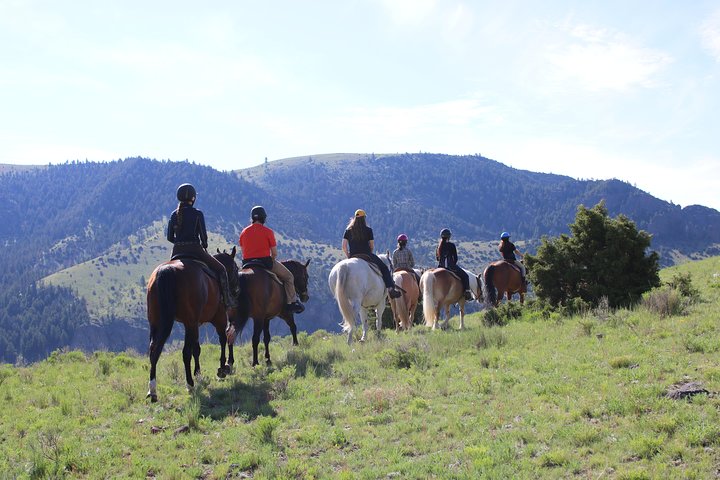 Guided Horseback Trek Through Blue Flower Trail - thumb 1