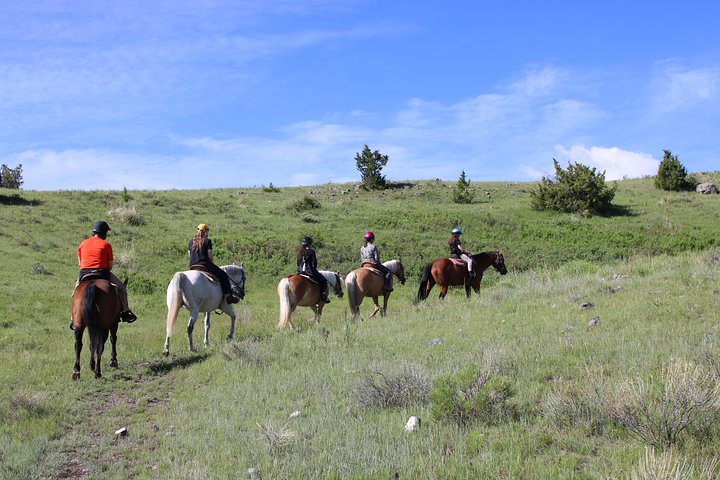 Guided Horseback Trek Through Blue Flower Trail - thumb 3
