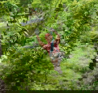 Zipline Canopy Tour in Branson - Accommodation Texas