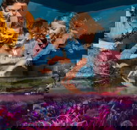 SEA LIFE New Jersey at American Dream - Accommodation Texas