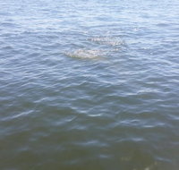 Tampa Celebrity Homes Boat Tour - Accommodation Texas