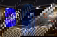 Orlando Fl Accommodation Texas