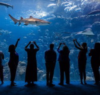 Skip the Line The Florida Aquarium in Tampa Bay Ticket - Accommodation Texas