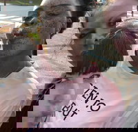 Scavenger Hunt Adventure in Pittsburgh by Crazy Dash - Accommodation Texas