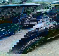 Premier Powersport Dealer Sales Service  UTV Rentals - Accommodation Texas