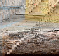 Axe Throwing Training - Accommodation Texas