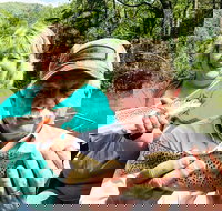 Full Day Float Trip - Accommodation Texas