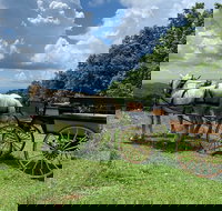 Horse and Carriage Ride through Moses H. Cone Park - Accommodation Texas