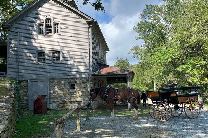 Horse And Carriage Ride Through Moses H. Cone Park - thumb 4