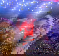 Private Pedicab Karaoke Cruising in Downtown Raleigh - Accommodation Texas