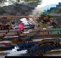 Jeep Bison Safari - Custer State Park - Accommodation Texas