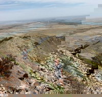 Private - Group Tour Devils Tower - Accommodation Texas