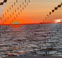 Private Hilton Head Sunset Sailing Tour with Dolphin Watching - Accommodation Texas