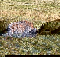 Private Tour - Badlands Delta 9 Missile Museum  Wall Drug - Accommodation Texas