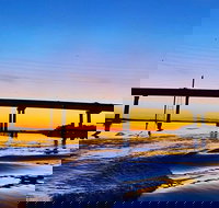 90 Minute Hilton Head Dolphin Tour - Accommodation Texas