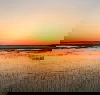 Private Hilton Head Sunset Dolphin Tour - Accommodation Texas