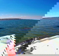 Private Hilton Head Dolphin Watching Tour with Waterfront Dining Stops - Accommodation Texas