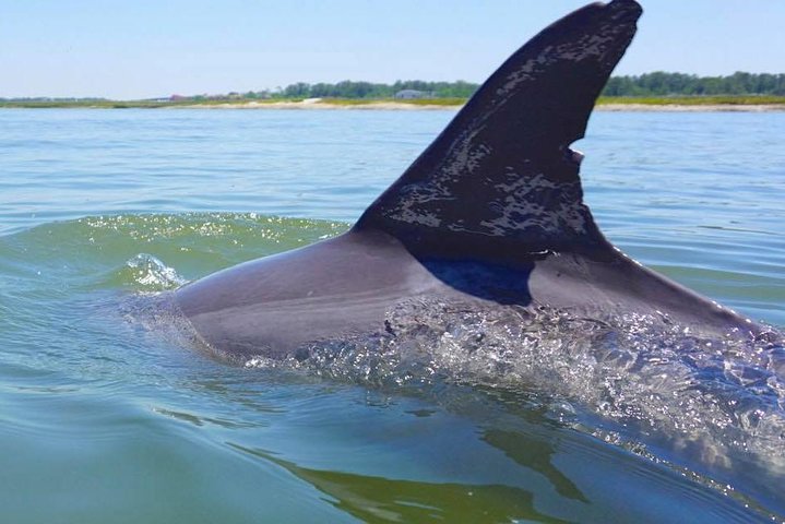 Hilton Head Jet Ski Adventure - thumb 0