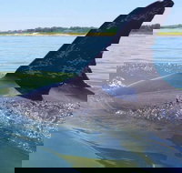 Hilton Head Jet Ski Adventure - Accommodation Texas