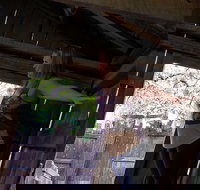 Cosmos Mystery Area Admission - Accommodation Texas