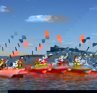 2-Hour Guided Kayak Nature Tour of Hilton Head - Accommodation Texas