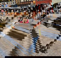 Beaches Bites and Bavaria in Leavenworth A Self-Guided Audio Tour - Accommodation Texas