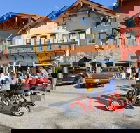 Small-Group Family-Friendly Private Cycling Sightseeing Tour - Accommodation Texas