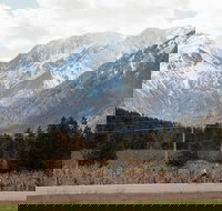 Mountain View E-Bike Experience - Accommodation Texas