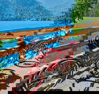 Electric Bike Rentals - Accommodation Texas