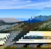 Hurricane Ridge Guided Tour in Olympic National Park - Accommodation Texas