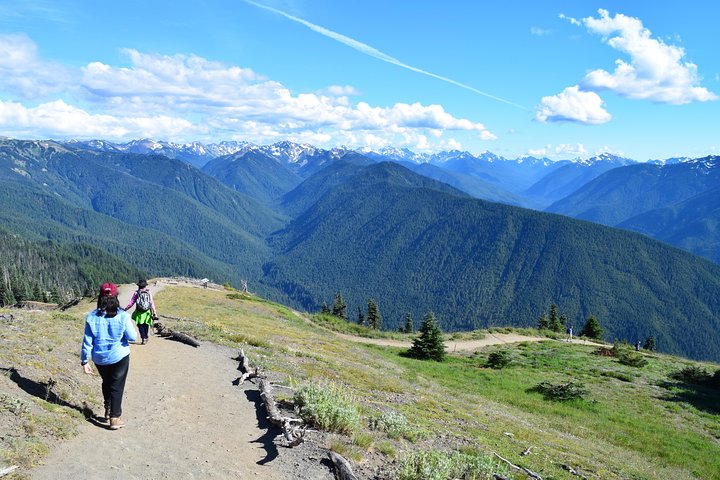 Hurricane Ridge Guided Tour In Olympic National Park - thumb 2
