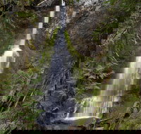 Lake Crescent and Marymere Falls Guided Tour in Olympic National Park - Accommodation Texas