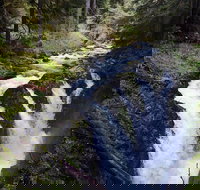 Sol Duc Falls Guided Tour in Olympic National Park - Accommodation Texas