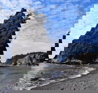 Hoh Rain Forest and Rialto Beach Guided Tour in Olympic National Park - Accommodation Texas