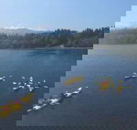 Half-Day Sea Kayaking Trip Near Olympic National Park - Accommodation Texas