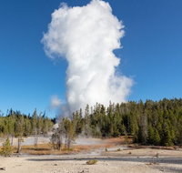 Full-Day Private Safari of Yellowstone - Accommodation Texas