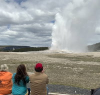Yellowstone Open Air Tours by Cody Wyoming Adventures - Accommodation Texas