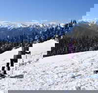 Hurricane Ridge Guided Snowshoe Tour in Olympic National Park - Accommodation Texas