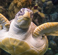Tampa's ZooQuarium Admission - Accommodation Texas