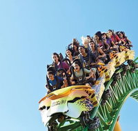 Tampa Bay CityPASS - Accommodation Texas