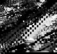 Genteel and Bard's Savannah Dark History and Ghost Walking Tour - Accommodation Texas