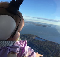 Platinum Package - Helicopter Tour with Dinner at Ruth's Chris or Capital Grille - Accommodation Texas