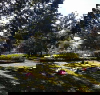 Yoga in Forsyth Park - Accommodation Texas