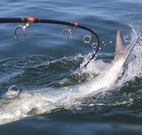 Tampa Bay Fishing Charter 3/4 Day 4 People - Accommodation Texas