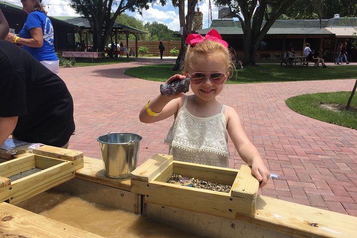 30-Minute Airboat Ride, Lunch, Gem Mining And Park Admission - thumb 2