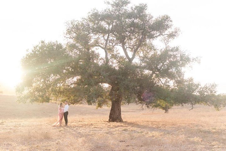 Vacation Photographer In San Diego - thumb 4