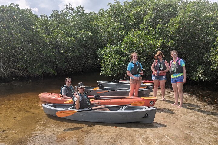 Manatees And Mangrove Tunnels Small Group Kayak Tour - thumb 0