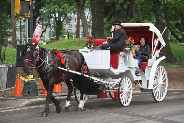 45 Minutes Central Park Tour - thumb 2